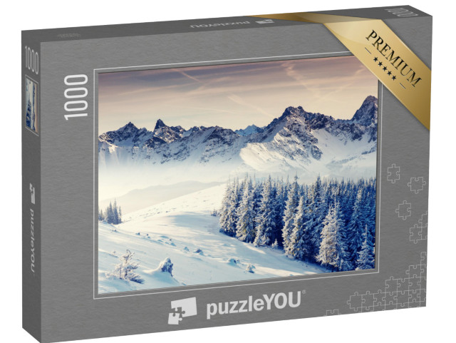 puzzle 1000 dílků „Fantastická zimní krajina. Dramaticky zatažená obloha. Kreativní koláž. Svět krásy“