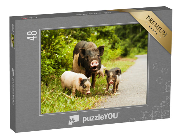 puzzle 48 dílků „Matka prasnice se skvrnitými selaty“