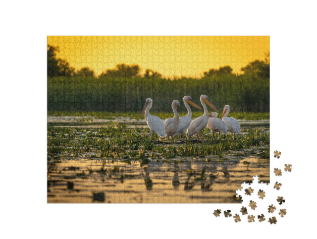 puzzle 1000 dílků „Pelikáni při západu slunce, Dunaj, Rumunsko“