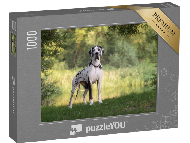 puzzle 1000 dílků „Krásná krajina s německou dogou“