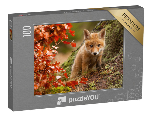 puzzle 100 dílků „Zvědavé liščí mládě“