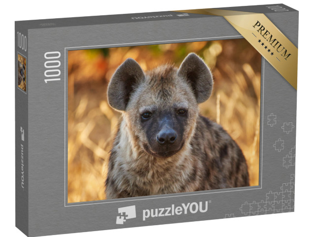 puzzle 1000 dílků „Mladá hyena ve večerním světle“