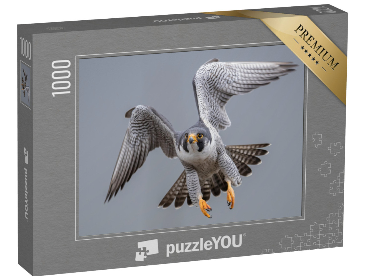 puzzle 1000 dílků „Sokol stěhovavý v letu“