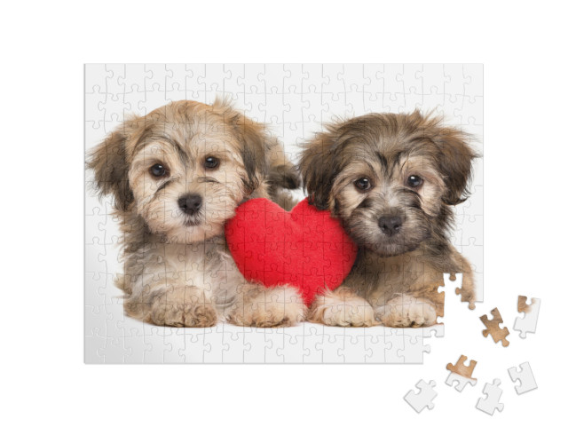puzzle 200 dílků „Štěňata havanského psíka“