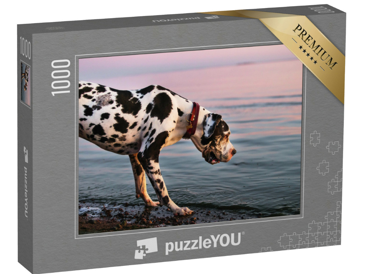 puzzle 1000 dílků „Německá doga na večerní procházce“
