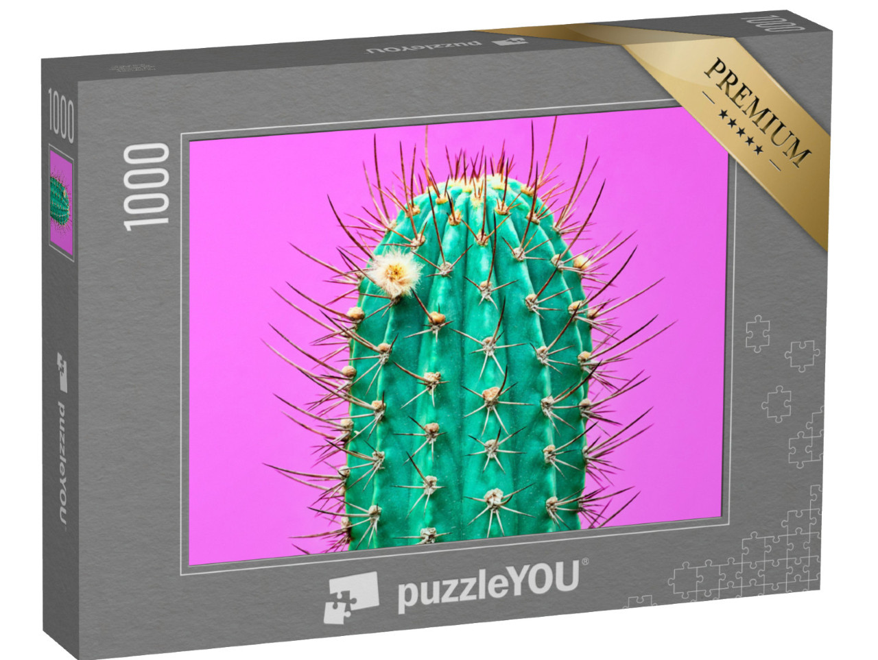puzzle 1000 dílků „Současné umění: Módní kaktus na růžovém pozadí“
