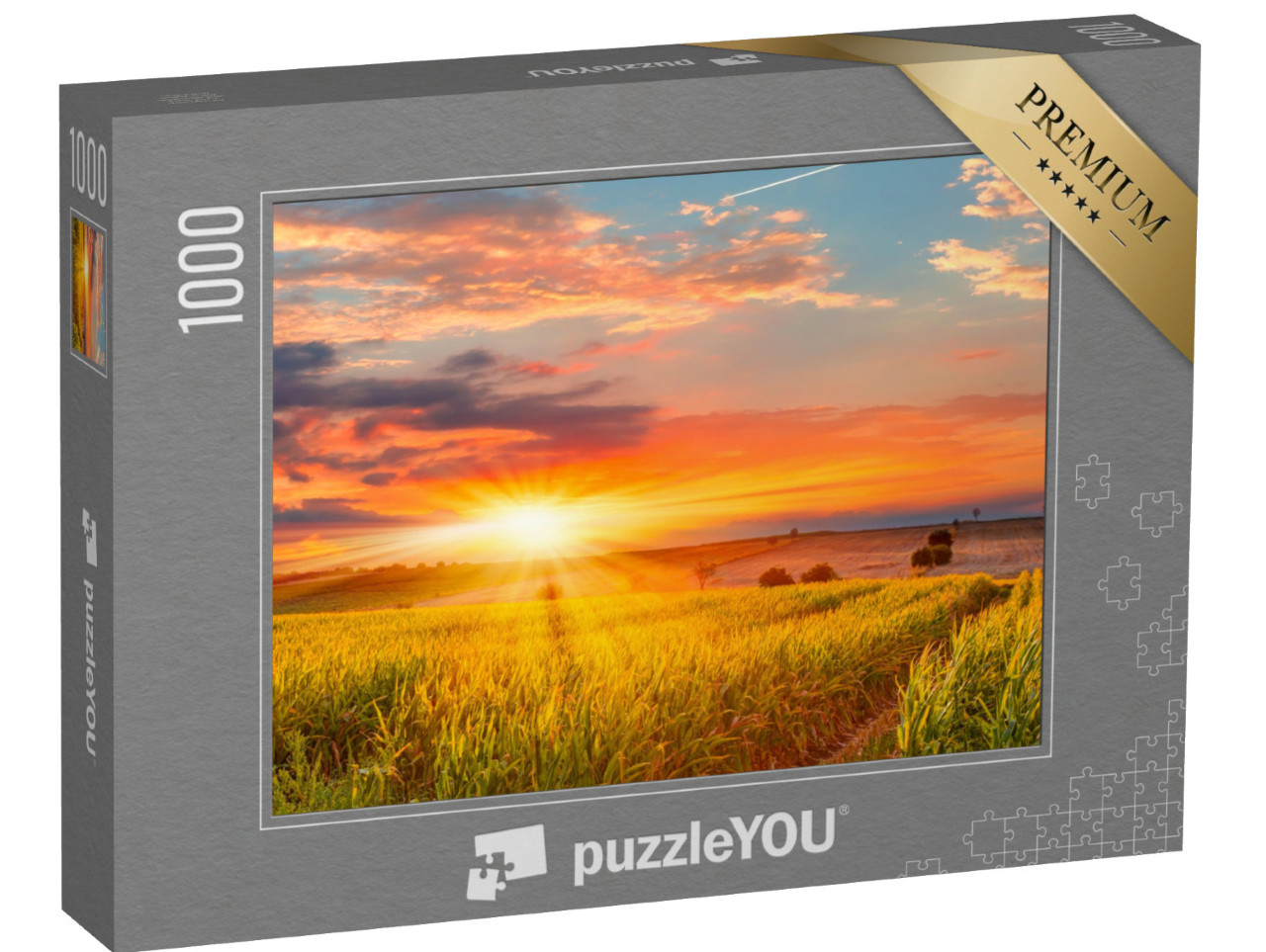 puzzle 1000 dílků „Východ slunce nad kukuřičným polem“