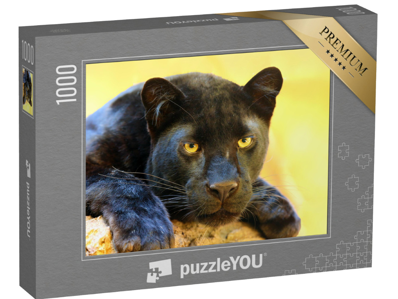 puzzle 1000 dílků „Leopard, známý také jako černý panter.“