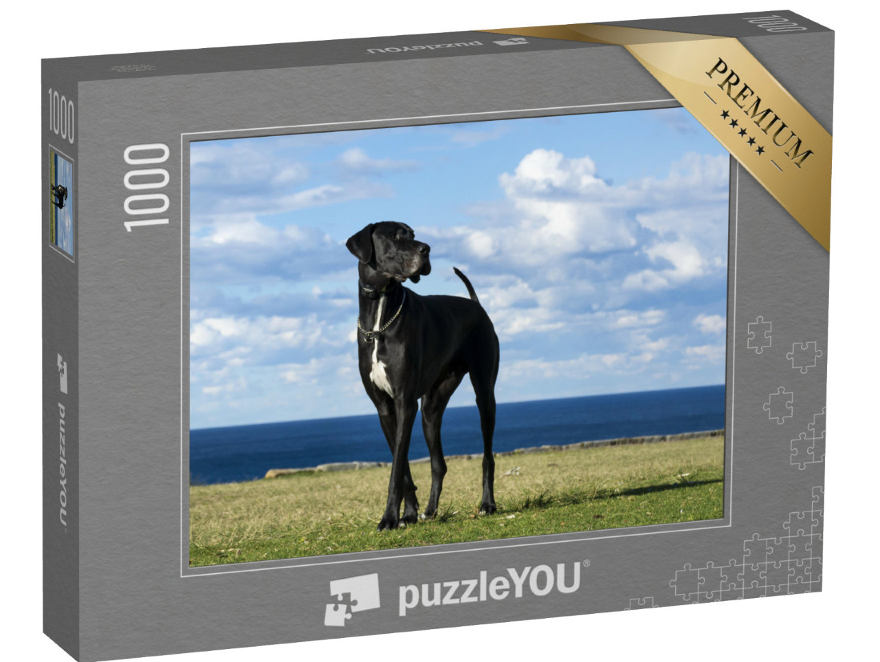 puzzle 1000 dílků „Německá doga u moře“