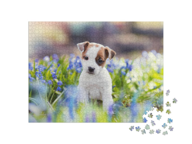 puzzle 1000 dílků „Bílé štěně Jack Russell teriéra v létě“