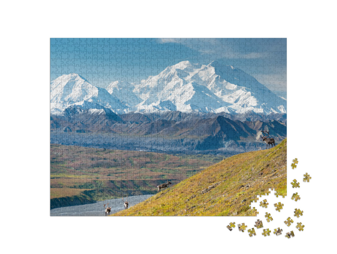 puzzle 1000 dílků „Jelen karibu před horou Denali, Aljaška“