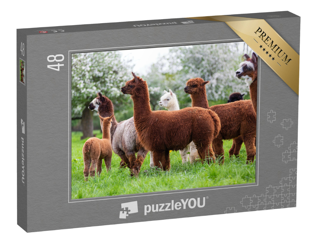 puzzle 48 dílků „Stádo alpak na jarní louce“