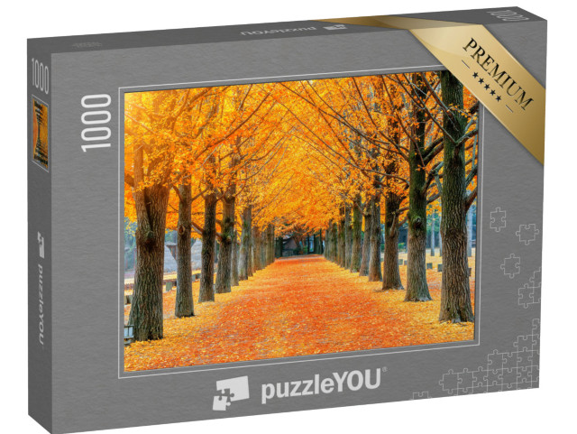 puzzle 1000 dílků „Řada žlutých stromů ginkgo na ostrově Nami, Korea“