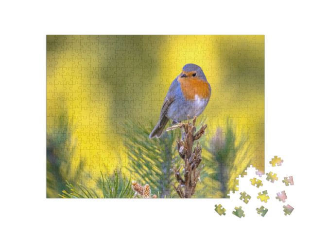 puzzle 500 dílků „Robin na zelené větvi“