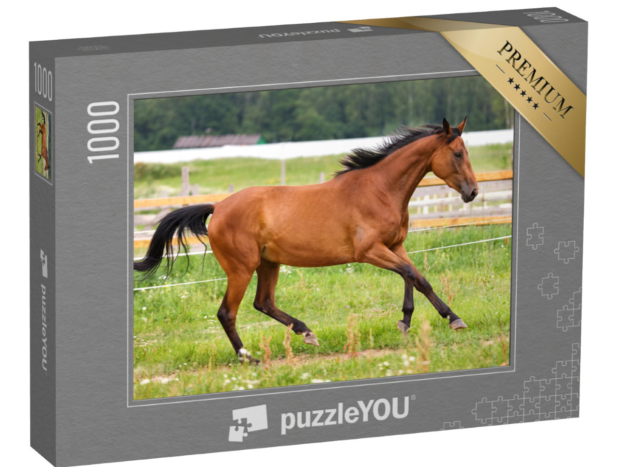 puzzle 1000 dílků „Kůň v lehkém cvalu na louce“