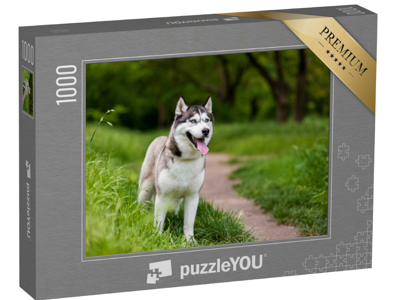 puzzle 1000 dílků „Pozorný sibiřský husky“