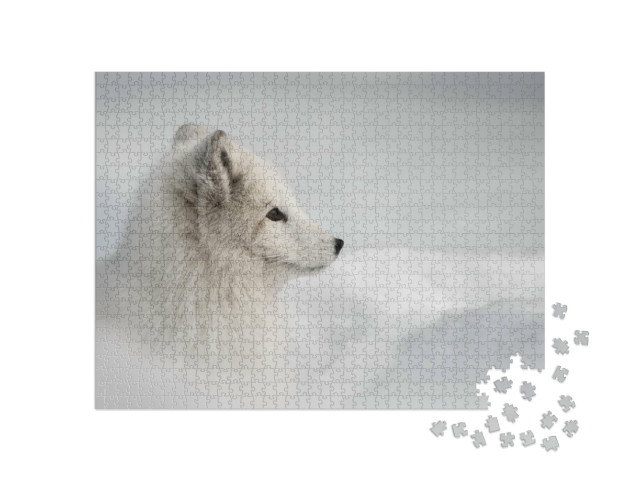 puzzle 1000 dílků „Samice polární lišky se odváží ze své sněhové jeskyně“