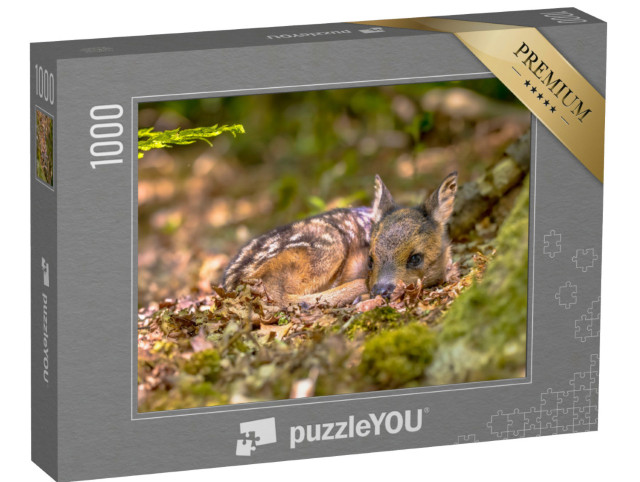 puzzle 1000 dílků „Odpočinek srnky v lese“