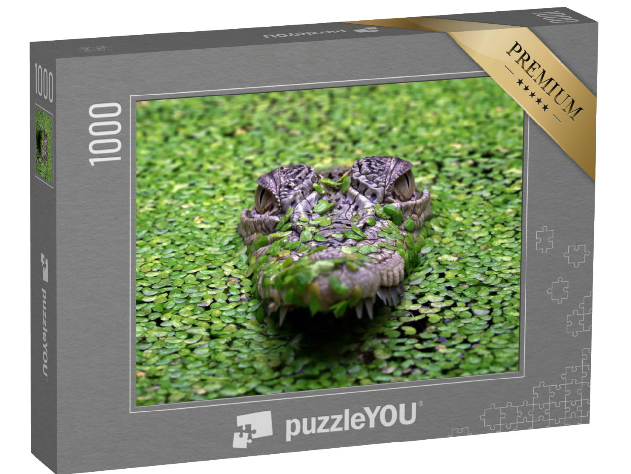 puzzle 1000 dílků „Krokodýl mořský, Crocodylus porosus“