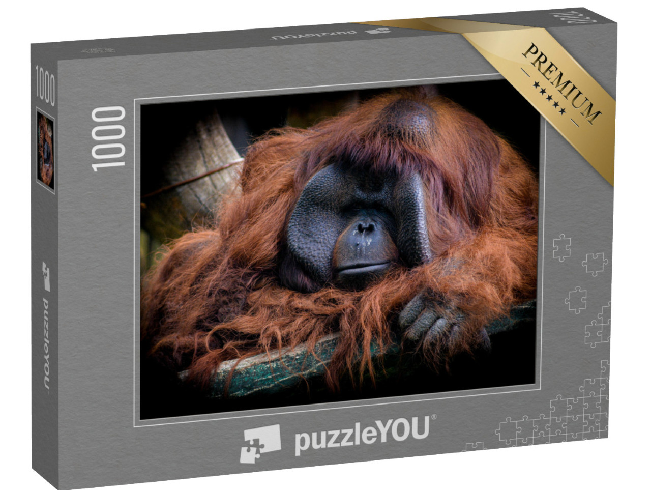 puzzle 1000 dílků „Samec orangutana bornejského, Pongo pygmaeus“