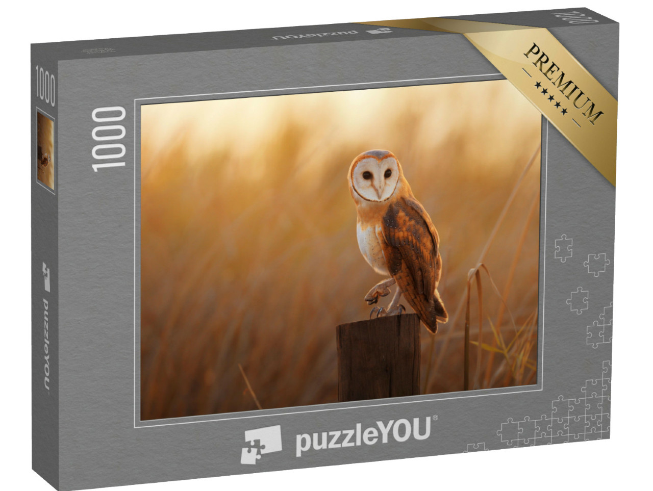 puzzle 1000 dílků „Krásná sova pálená na pařezu“