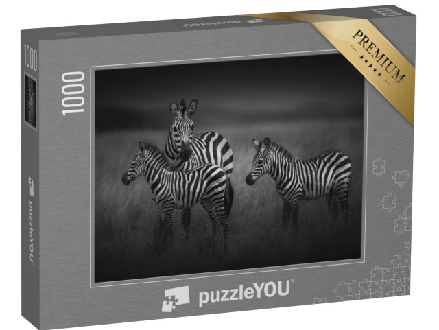 puzzle 1000 dílků „Matka zebra se dvěma mláďaty, Tanzanie“