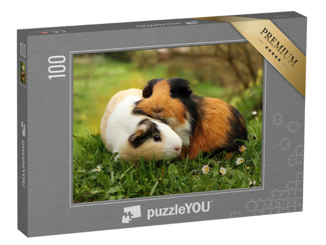 puzzle 100 dílků „Přátelé morčat“