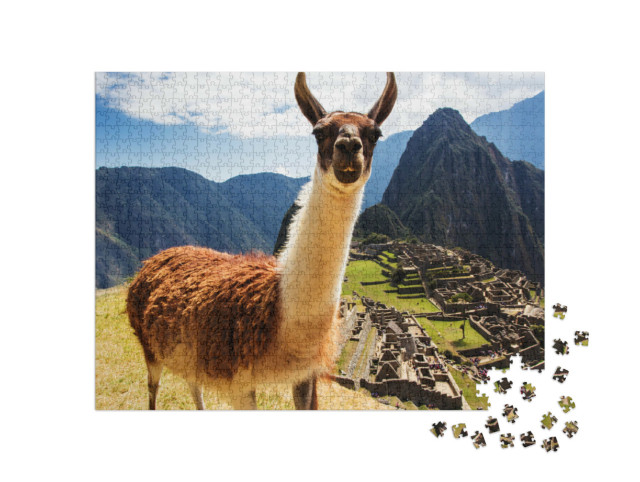 puzzle 1000 dílků „Lama, v pozadí incké ruiny na Machu Picchu, Peru“
