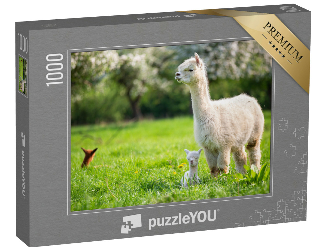 puzzle 1000 dílků „Bílá alpaka s mláďaty“