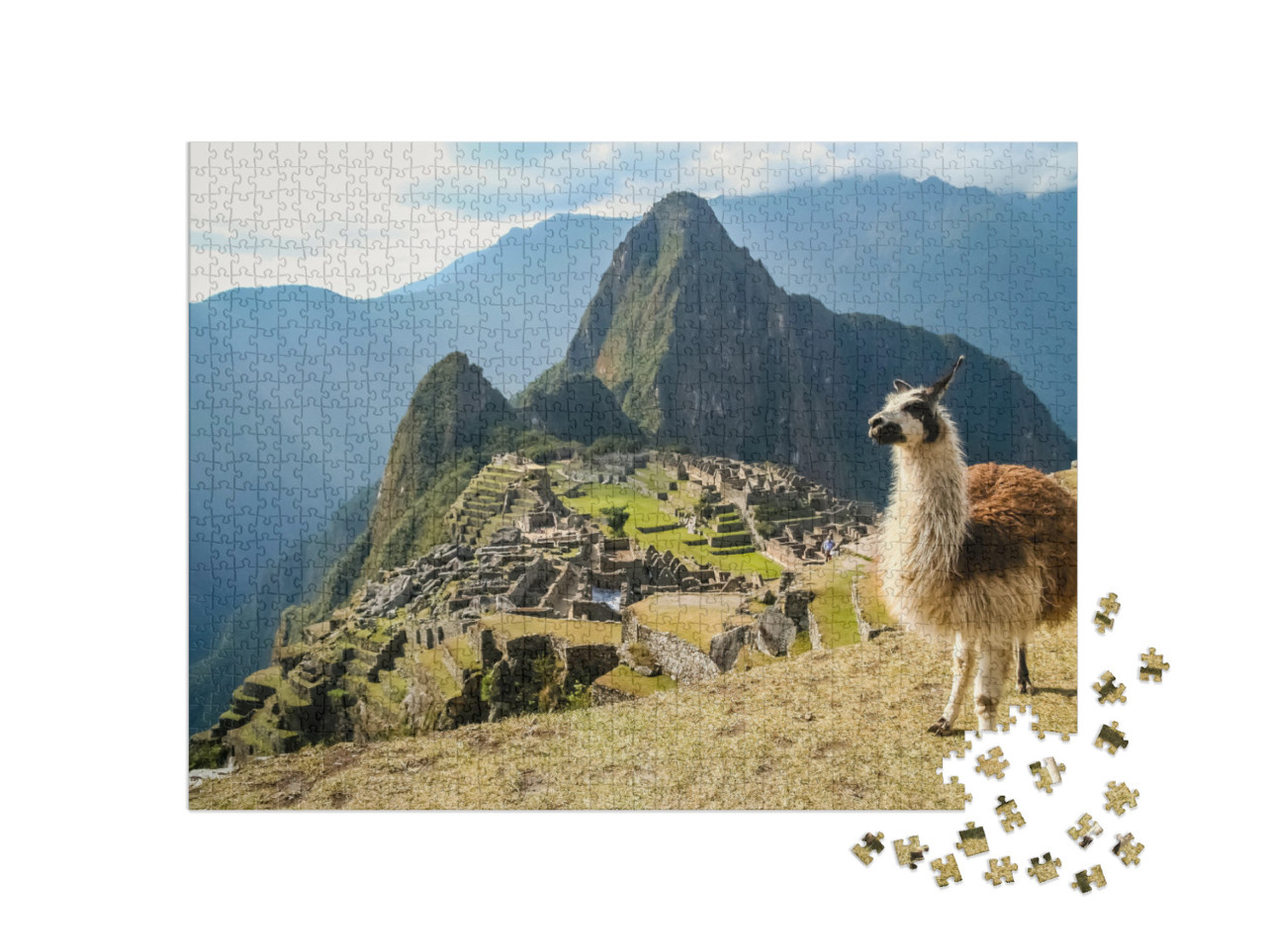 puzzle 1000 dílků „Lama před starobylým inckým městem Machu Picchu“