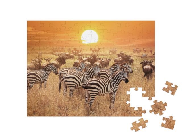 puzzle 100 dílků „Zebra při západu slunce v národním parku Serengeti, Afrika, Tanzanie“