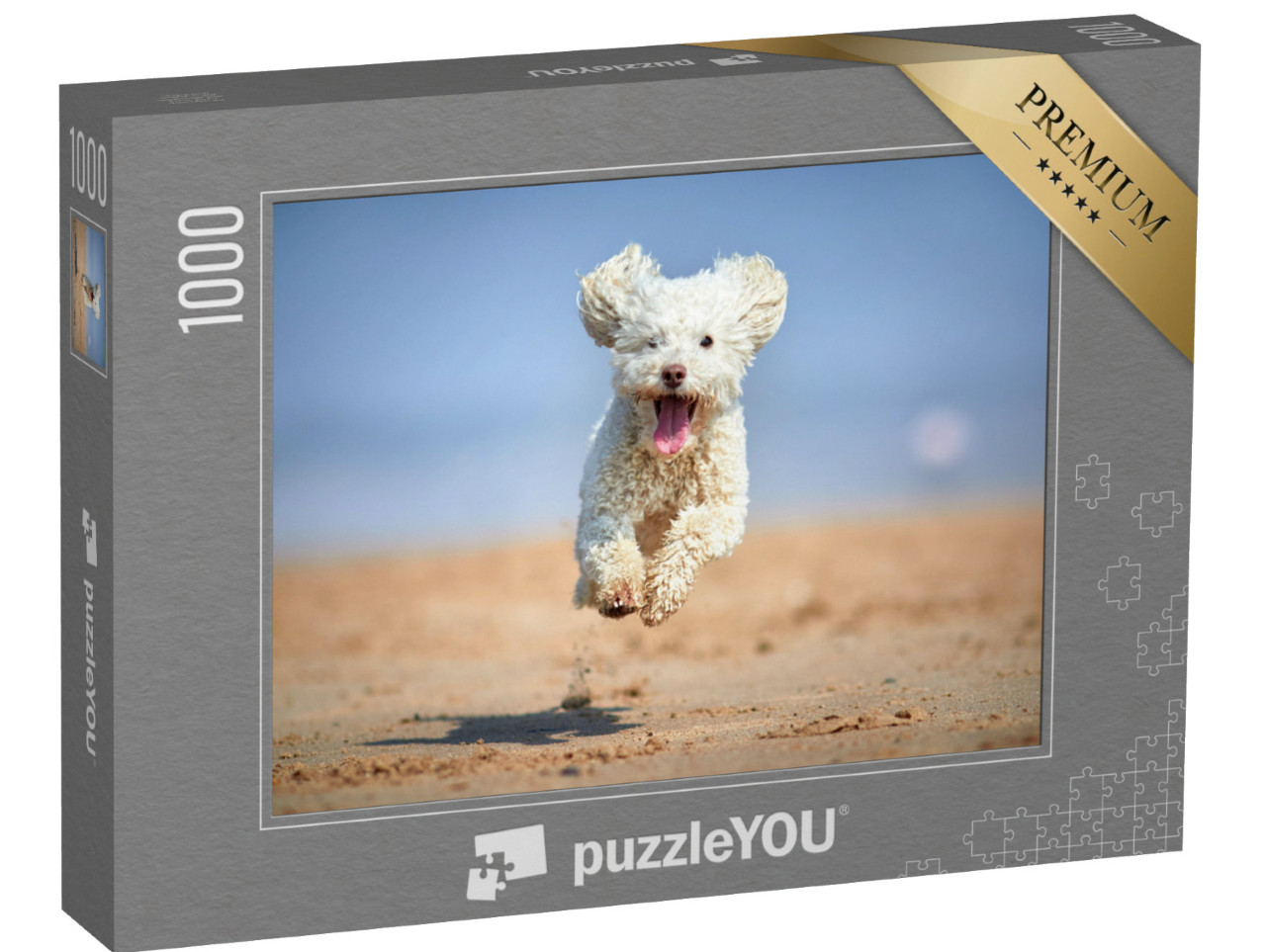 puzzle 1000 dílků „Miniaturní pudl v plném běhu na pláži“