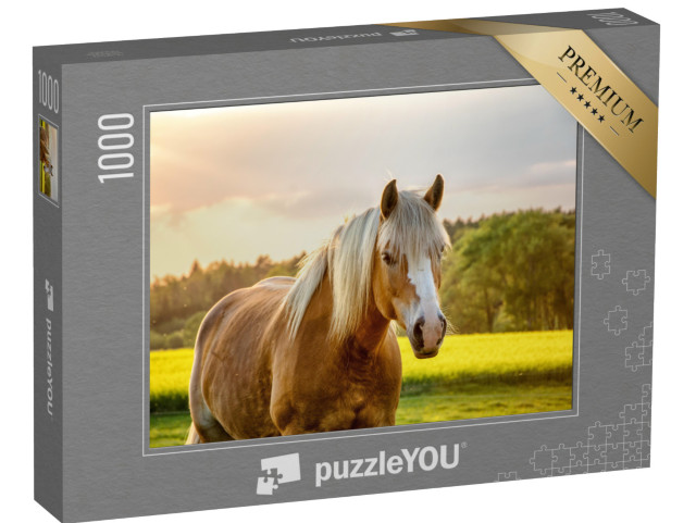 puzzle 1000 dílků „Kůň ve zlatém západu slunce“