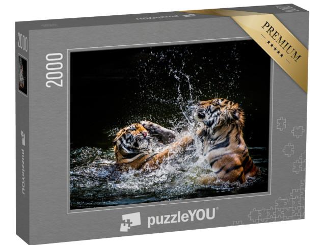 puzzle 2000 dílků „Boj s tygry“