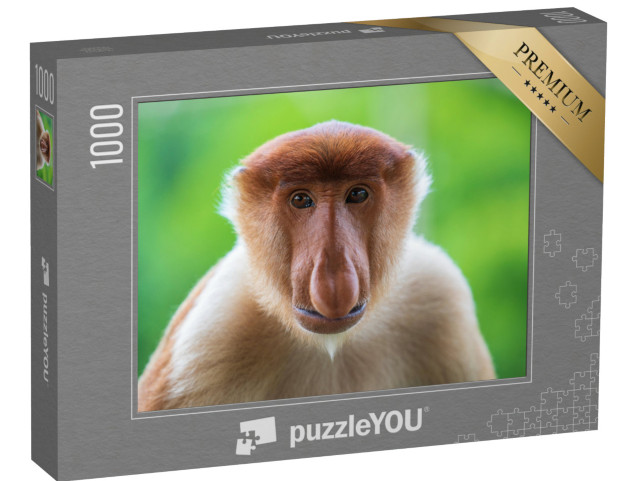 puzzle 1000 dílků „Opice chobotnatec neboli Nasalis larvatus na Borneu“