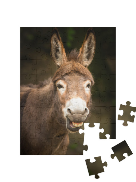puzzle 48 dílků „Osel“