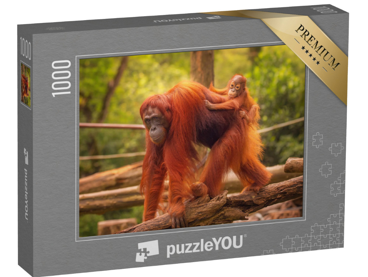 puzzle 1000 dílků „Mládě orangutana na zádech matky“