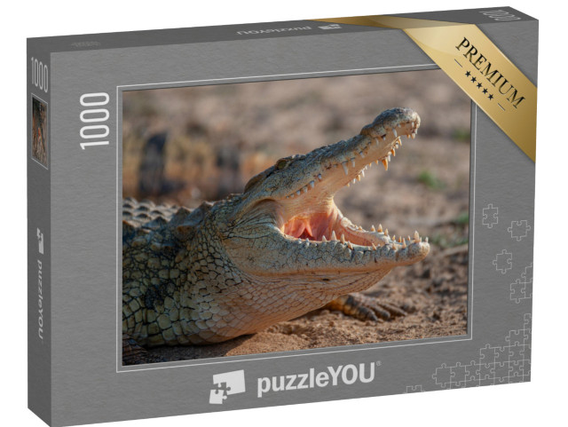 puzzle 1000 dílků „Krokodýl nilský na safari v Jižní Africe“