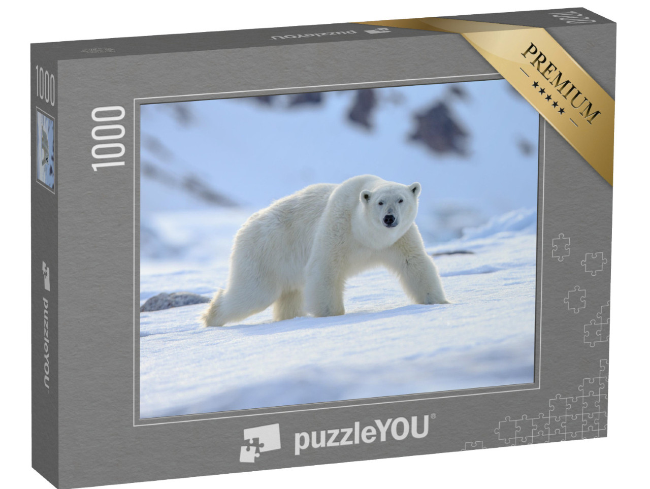 puzzle 1000 dílků „Lední medvěd, Ursus maritimus“