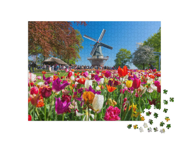 puzzle 1000 dílků „Tulipánová zahrada a větrný mlýn v Lisse, Holandsko“