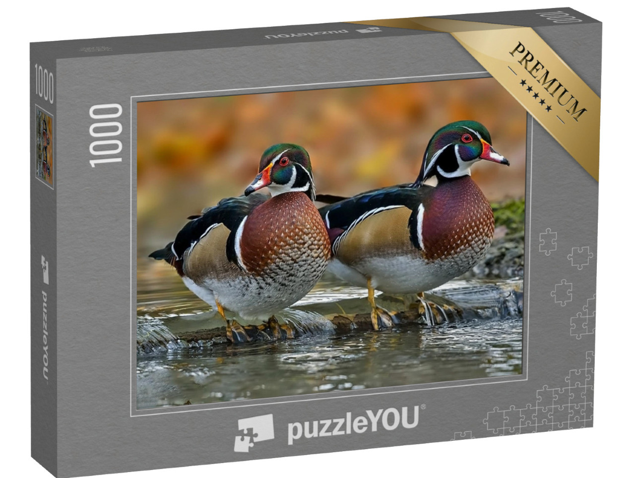 puzzle 1000 dílků „Kachna lesní nebo kachna karolínská“