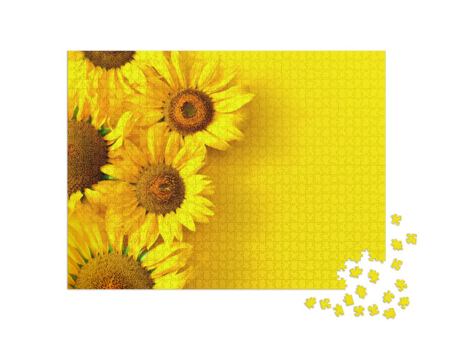 puzzle 1000 dílků „Slunečnice na žlutém pozadí s prostorem pro kopírování. Květinové...“