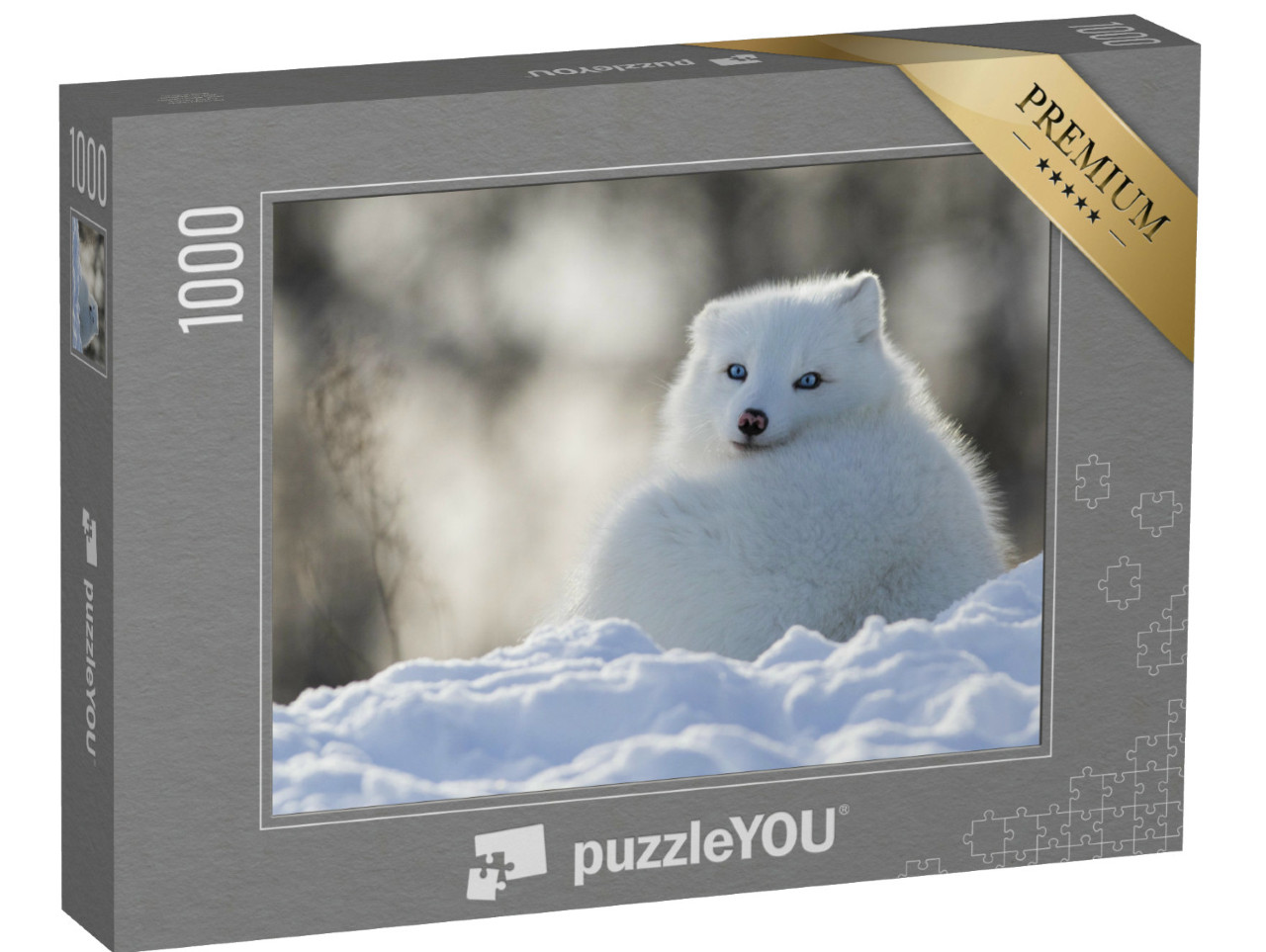 puzzle 1000 dílků „Arktická liška s pronikavýma modrýma očima“