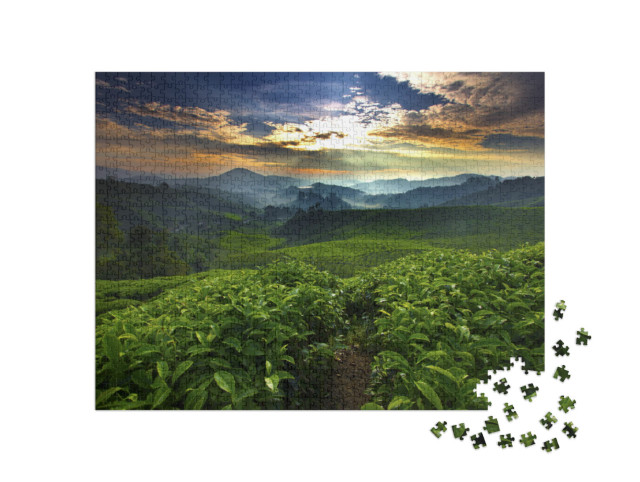 puzzle 1000 dílků „Slunce svítí nad čajovou zahradou“
