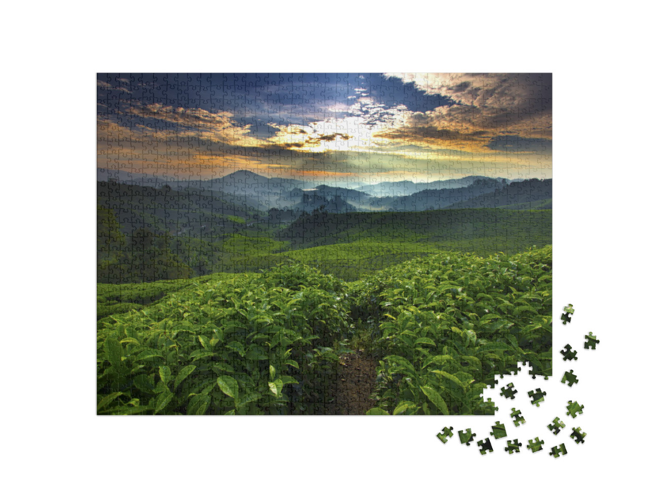 puzzle 1000 dílků „Slunce svítí nad čajovou zahradou“