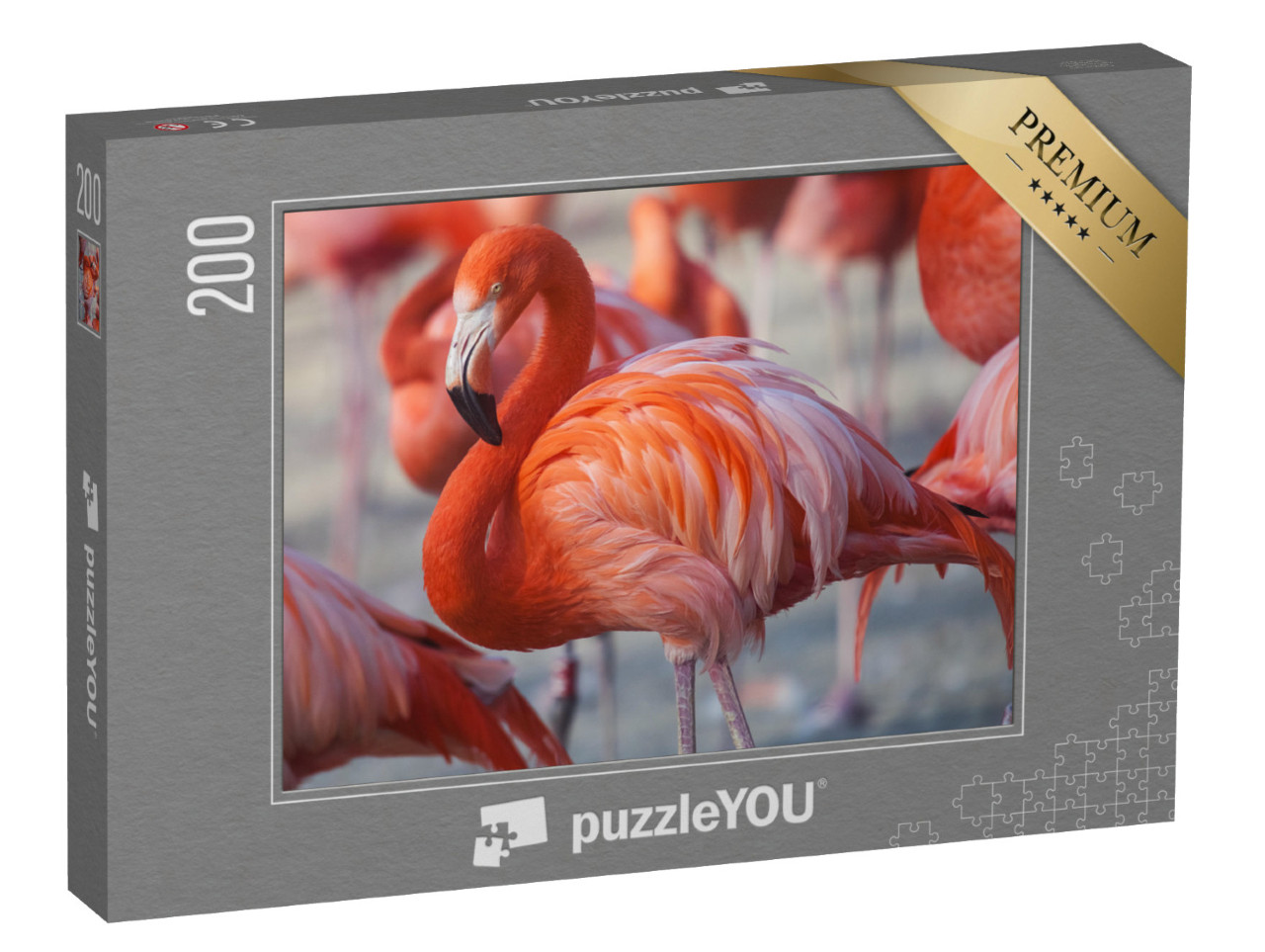 puzzle 200 dílků „Růžoví plameňáci“