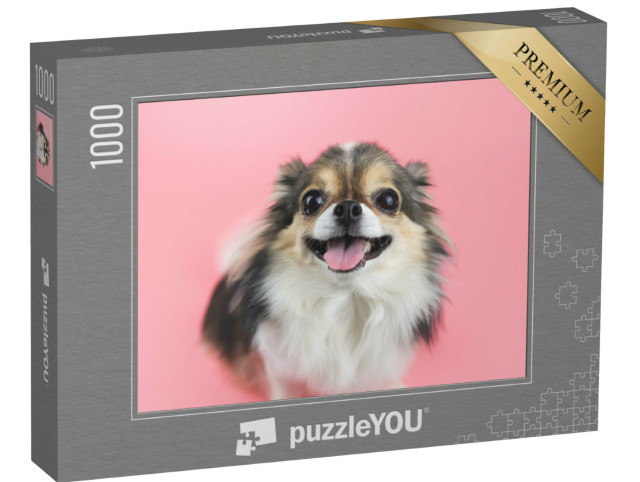 puzzle 1000 dílků „Čivava s dlouhou srstí a růžovým jazykem“