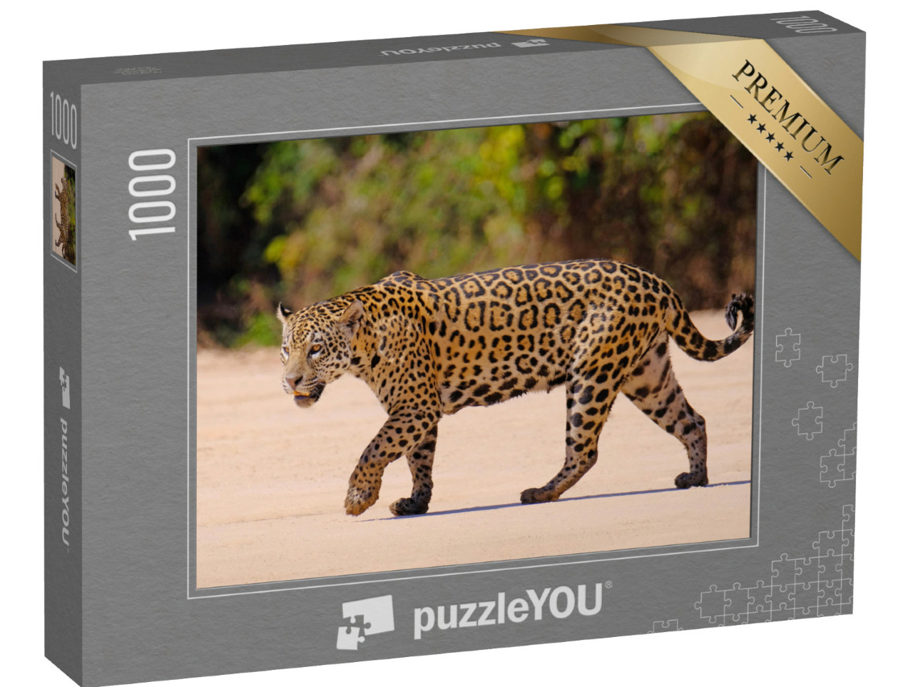 puzzle 1000 dílků „Samice jaguára, Panthera Onca, Brazílie, Jižní Amerika“