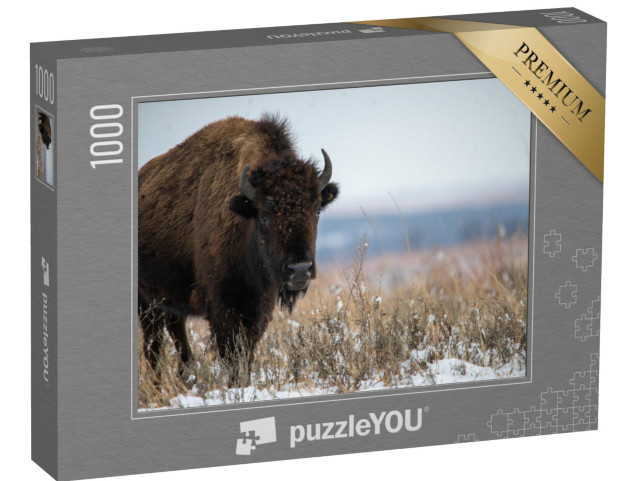 puzzle 1000 dílků „Oklahomští bizoni po prosincovém sněžení“