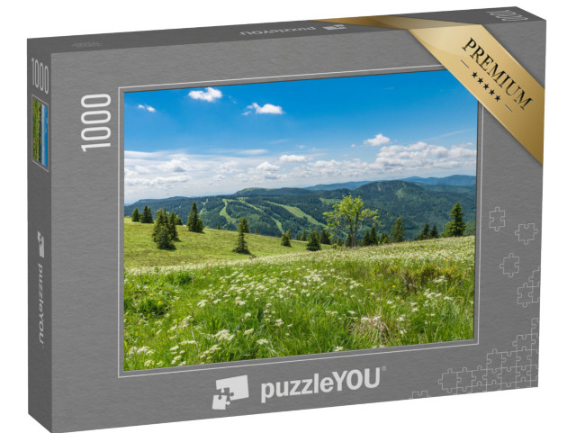 puzzle 1000 dílků „Černý les a jeho přírodní rozmanitost“